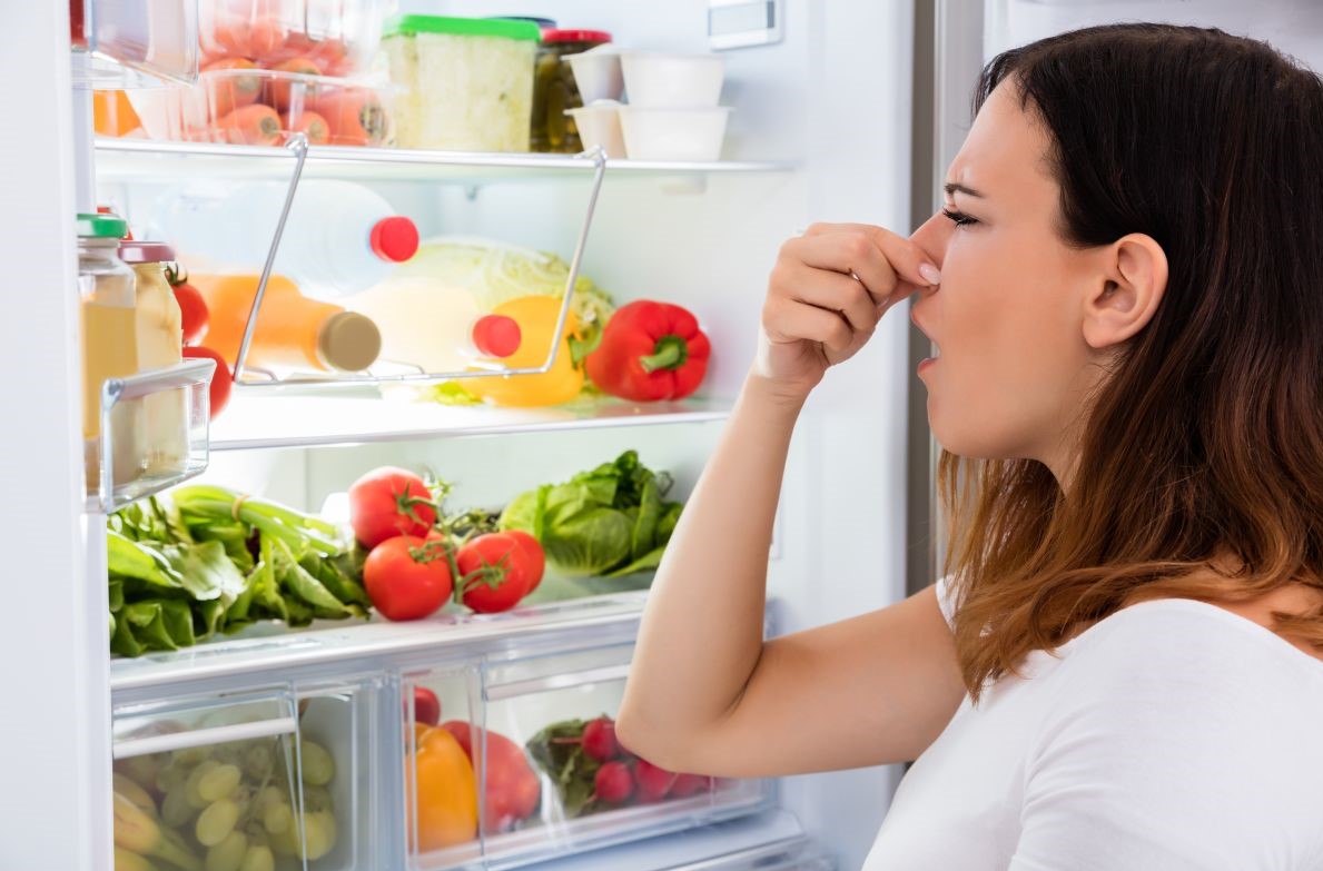 Unpleasant odor in the refrigerator is not a problem