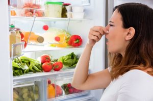 Неприятный запах из холодильника - есть решение