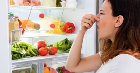 Odor desagradável na refrigerador – sem problemas