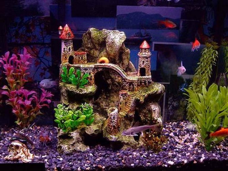 Decorating an aquarium - ideas for any interior