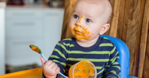 Which baby puree is better to choose